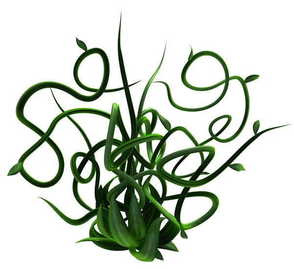 Plant vines green growing twisting source ornate spread, 3d illustration, horizontal, isolated, over white