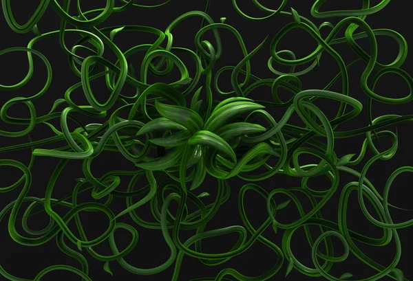 Plant Vines Green Growing Twisting Ornate Gray Illustration Horizontal Background — 스톡 사진