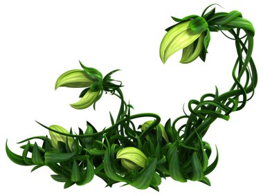 Plant growing green biting patch rising, 3d illustration, horizontal, isolated, over white