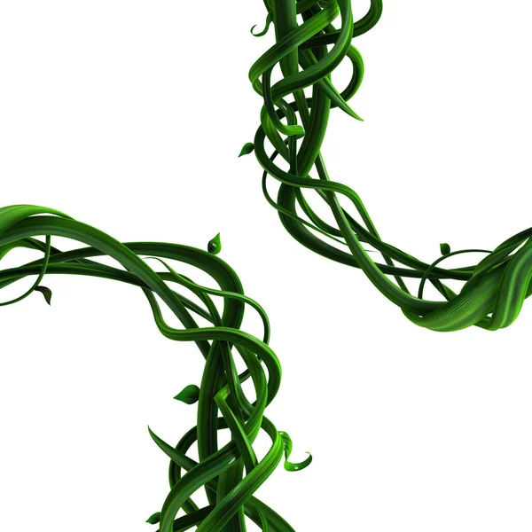 Plant Vines Green Growing Twisting Thick Corner Loop Illustration Horizontal — Stockfoto