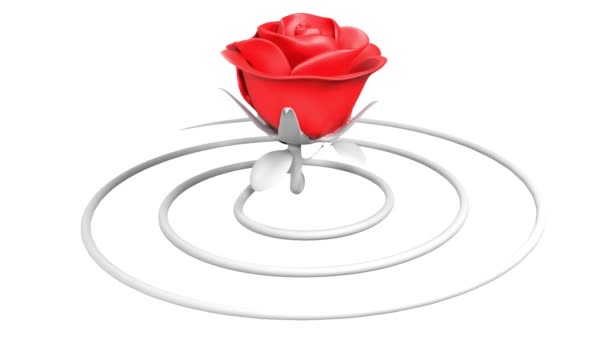 Rose Red Flower White Spiral Stem Spinning Cycle Loop Animation — Vídeo de Stock