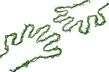 Plant vines green growing twisting reach out arm, 3d illustration, horizontal, isolated, over white