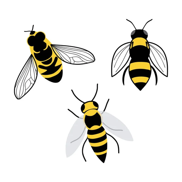 Бджоли Векторні Ілюстрації Ізольовані Набір — стоковий вектор