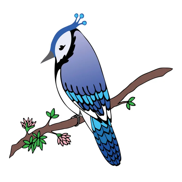 Blue Jay Bird Vector Illustration Isolated — Stock Vector