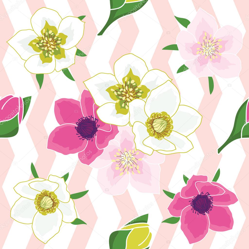 Pink and white anemone flowers on pink chevron background seamless pattern illustration