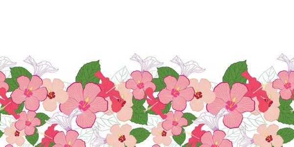 Hibiscus Flowers Seamless Horizontal Border Illustration — Stock Vector