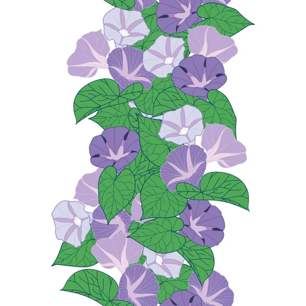 Ranní Sláva Květiny Listy Hladké Svislé Okraje Ilustrace — Stockový vektor