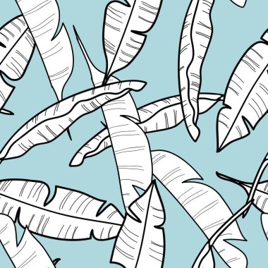 Mavi arkaplanda siyah beyaz muz yaprakları