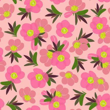 Ayva çiçeği desensiz desen tasarımı