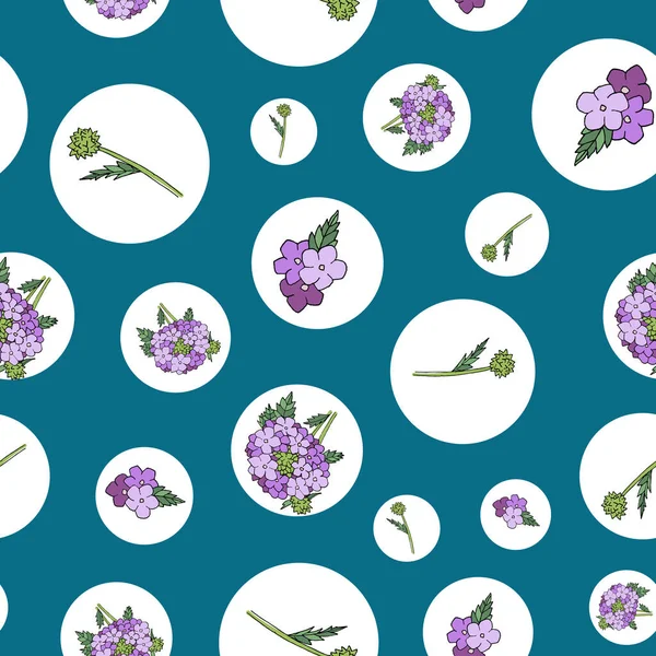 Purple verbena flowers and circles on blue background