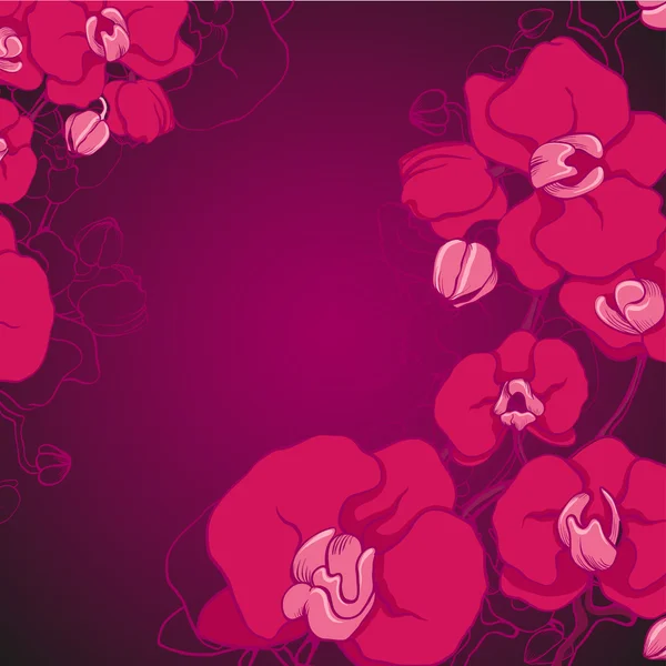 Фиолетовая орхидея — стоковый вектор