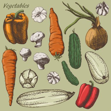 vegetebles renk kümesi