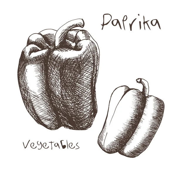 Paprika — Stockvektor