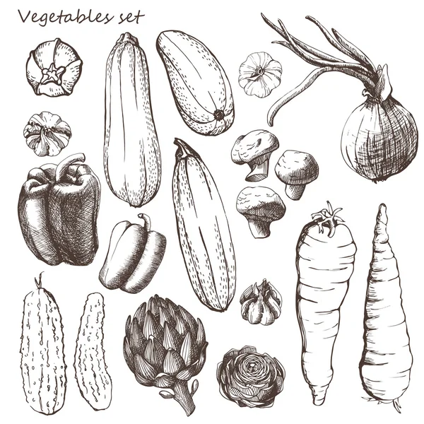 Ensemble de légumes — Image vectorielle