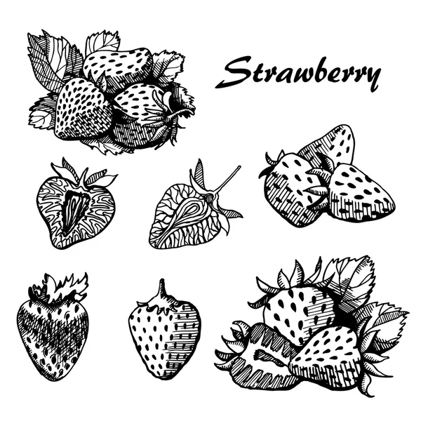 Set de fraises — Image vectorielle