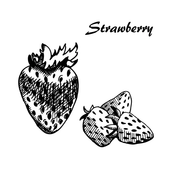 Erdbeere 2 — Stockvektor