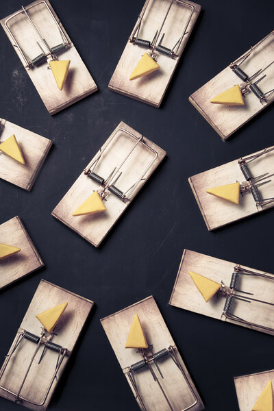 multiple mouse traps with cheese on a dark background