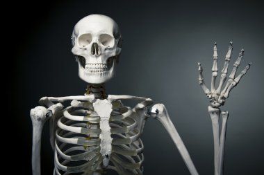 Happy human skeleton saying hello clipart