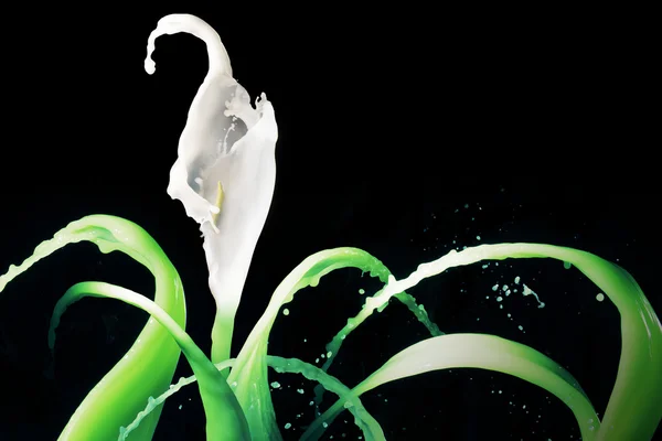 Calla Lilly flor hecha de agua — Foto de Stock