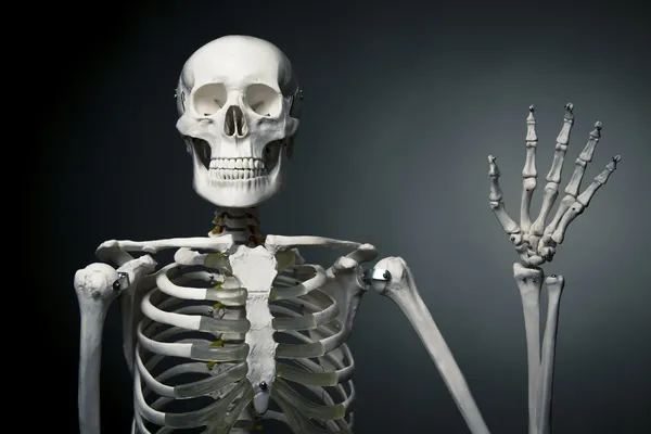 Happy human skeleton saying hello — Stock Photo, Image