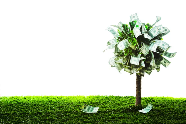 Concepto, árbol del dinero en la hierba aislada —  Fotos de Stock