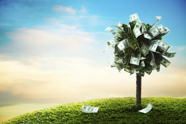 Concepto, árbol del dinero en la hierba — Foto de Stock