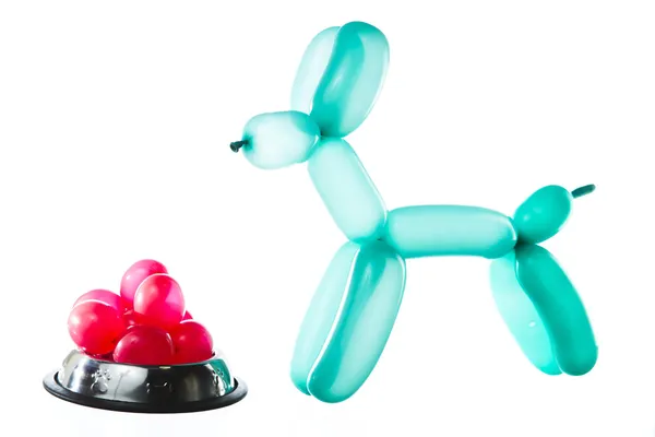 Balloon dog in front of food — Stock Photo, Image