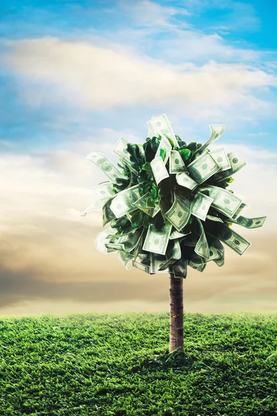 Koncept, pengar träd på gräs — Stockfoto