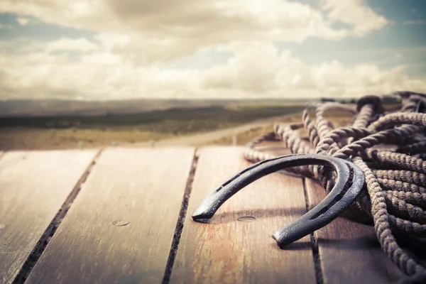 Iron horseshoe on a vintage background — Stock Photo, Image