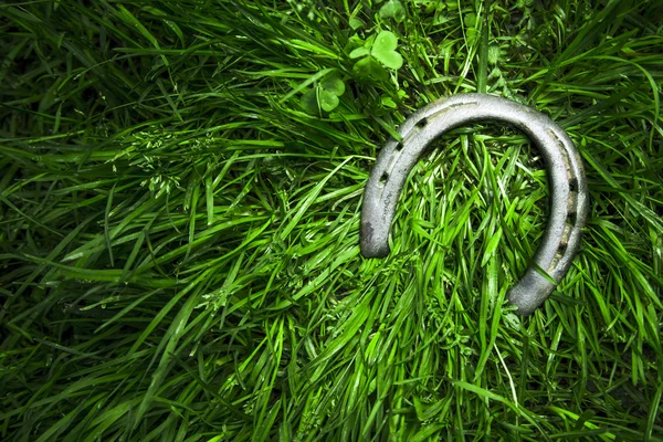 Ijzer hoefijzer op groen gras — Stockfoto