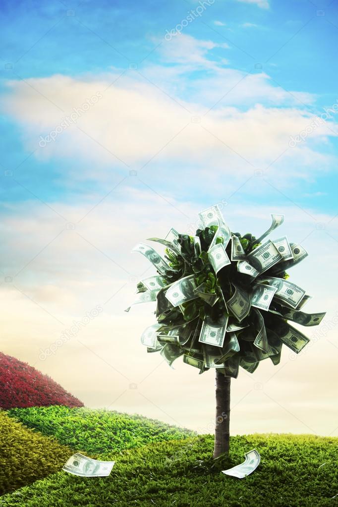 Concept, money tree on grass