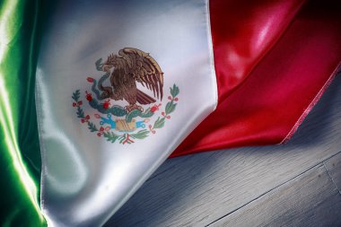 Mexican Flag Independence day clipart