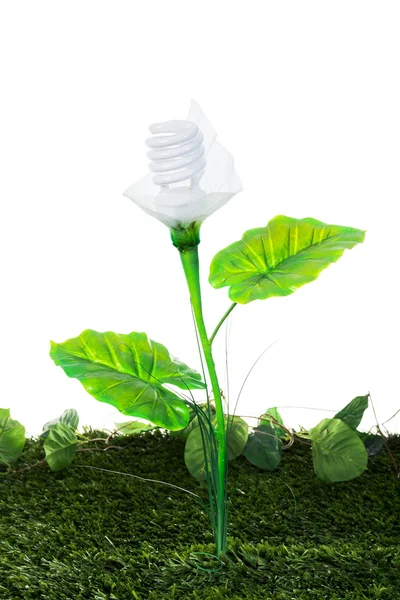 Ecological energy concept — Stock Photo, Image