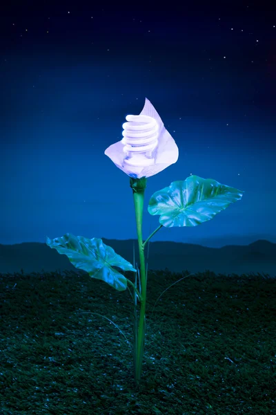 Planta de bombilla amigable con la tierra —  Fotos de Stock