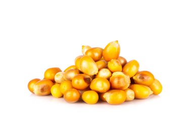 Beyaz zemin üzerinde izole patlamış mısır tohumu.