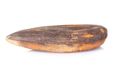 Beyaz arka plan üzerinde izole Ayçekirdeği kazık.