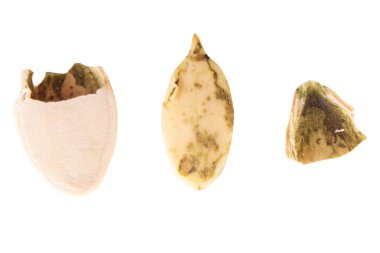 Kabak çekirdekleri beyaz arkaplanda izole.