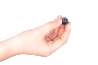 beyaz arka planda yaban mersini elli kadınlar.