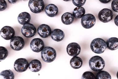 beyaz arkaplanda yaban mersini arkaplanı izole edildi.