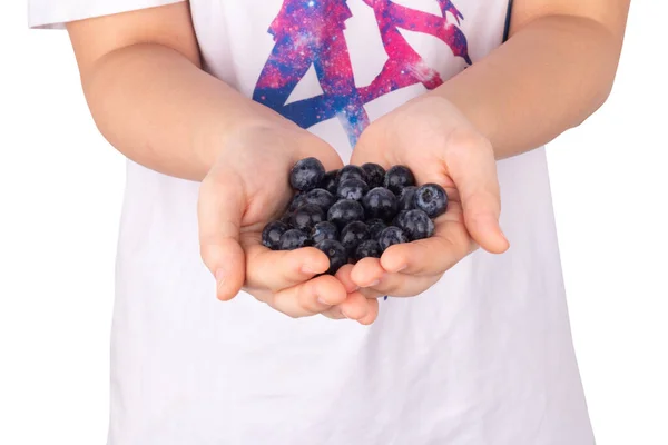 Blueberry Hand Women Isolated White Background — Stock Photo, Image