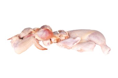chicken collection fresh isolated on white background.