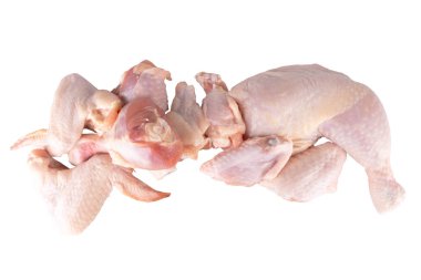 Beyaz arkaplanda taze izole edilmiş tavuk koleksiyonu.