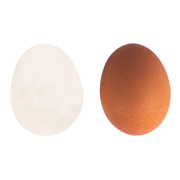 Kaynamış Yumurta Beyaz Arkaplanda Izole — Stok fotoğraf