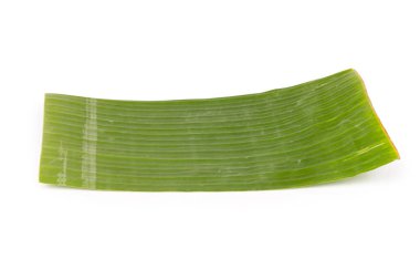 Beyaz arkaplan parçasında muz yaprağı izole.