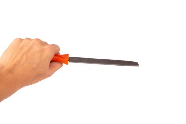 rasp tool isolated on white background hand.