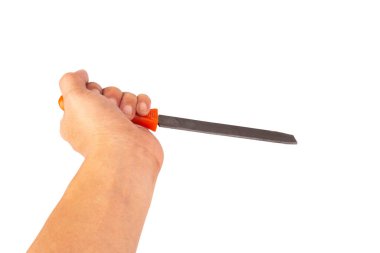 rasp tool isolated on white background hand.