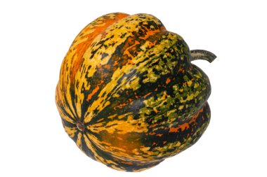 Balkabağı izole edilmiş. Beyaz arka planda izole edilmiş renkli bir Cucurbita pepo festivali balkabağının yakın çekimi. Sağlıklı beslenme. Makro.