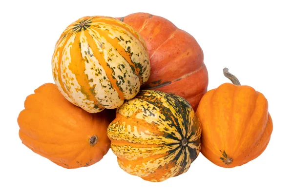 Pile Pumpkins Close Stack Decorative Colorful Pumpkins Isolated White Background — Stock Photo, Image