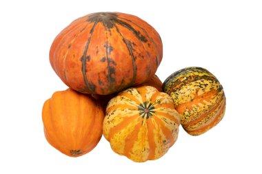 Balkabağı yığını. Beyaz arka planda izole edilmiş dekoratif renkli balkabaklarının yakın çekimi. Tasarım için alan. Makro.