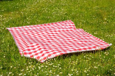 Kırmızı piknik battaniyesi. Çiçekli bir çayırda papatya çiçekleriyle kırmızı kareli piknik örtüsü. Ürün yerleştirme veya montaj için güzel arkaplan.